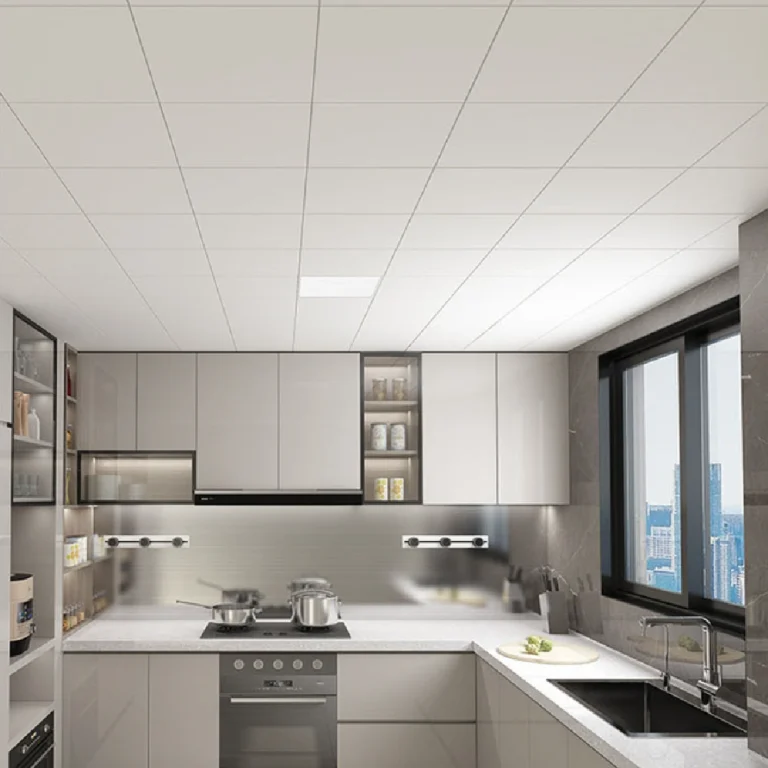Aluminum Ceiling Panels