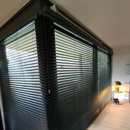 Aluminum Alloy Curtain Walls (6)_1